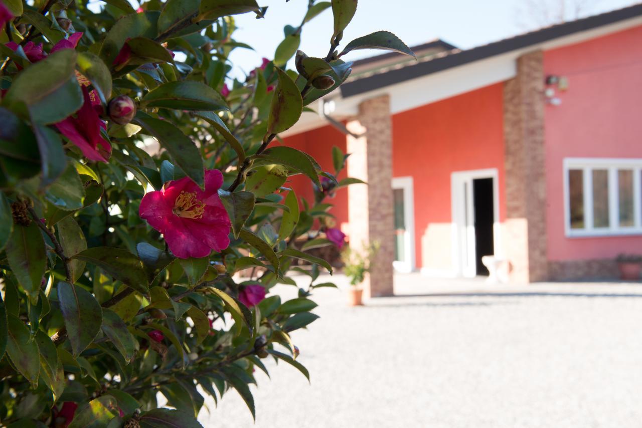 Tenuta La Vigna Malgesso Extérieur photo